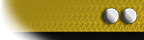 Lieutenant